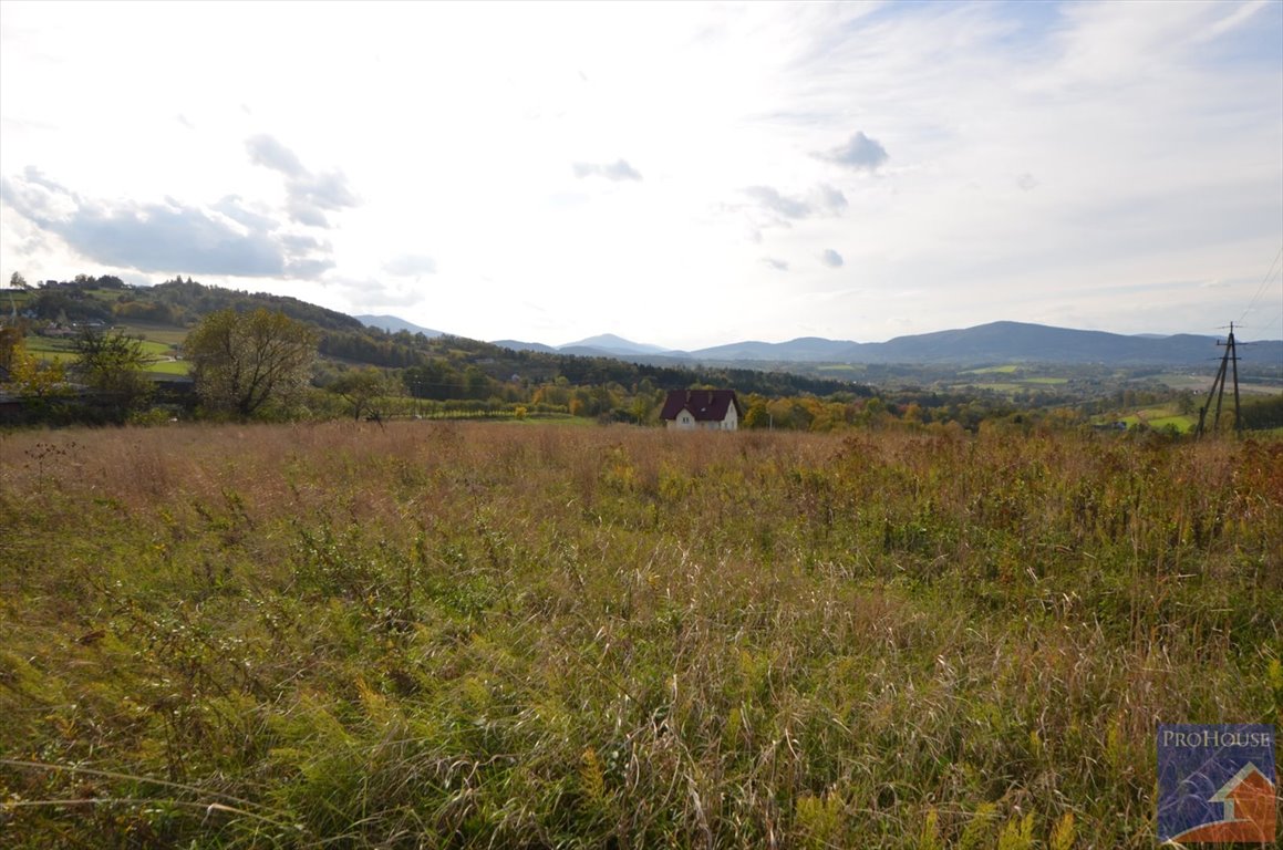 Działka budowlana na sprzedaż Kostrza  5 900m2 Foto 4