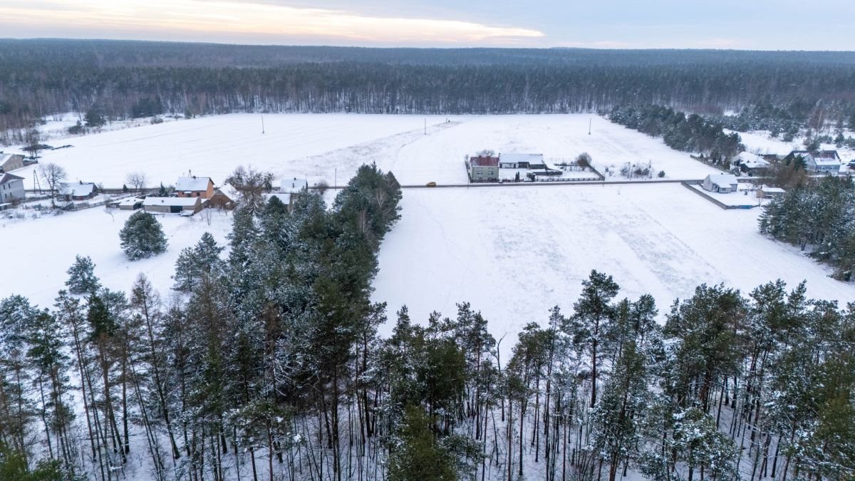 Działka budowlana na sprzedaż Koski Pierwsze  3 754m2 Foto 11