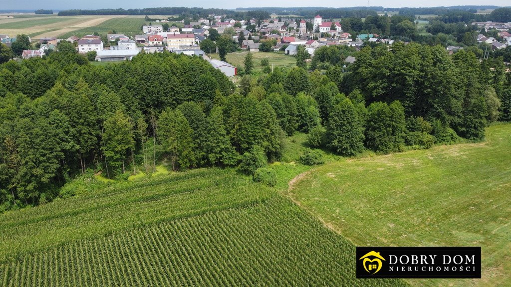 Działka rolna na sprzedaż Trzcianne  38 210m2 Foto 6