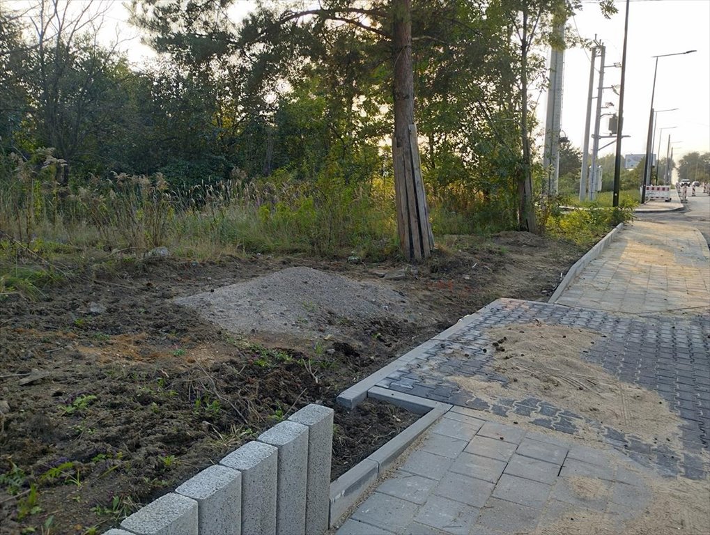 Działka inwestycyjna na sprzedaż Łódź, Widzew, Mileszki  2 784m2 Foto 10