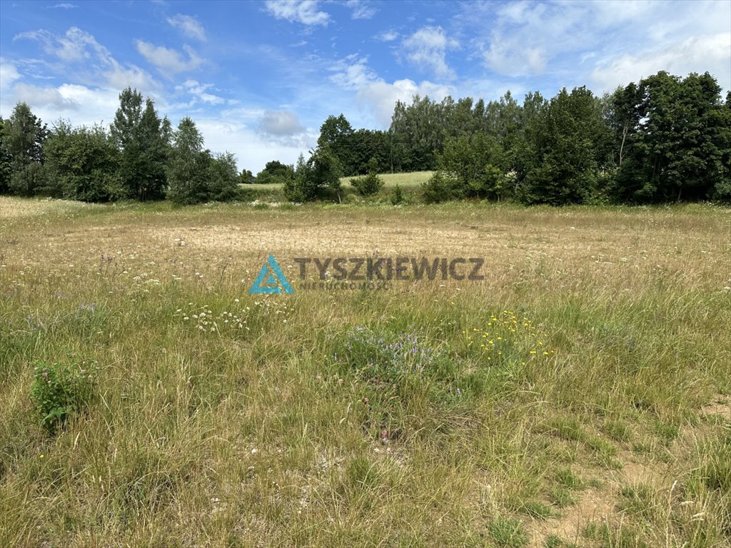 Działka rekreacyjna na sprzedaż Grabówko  1 450m2 Foto 8