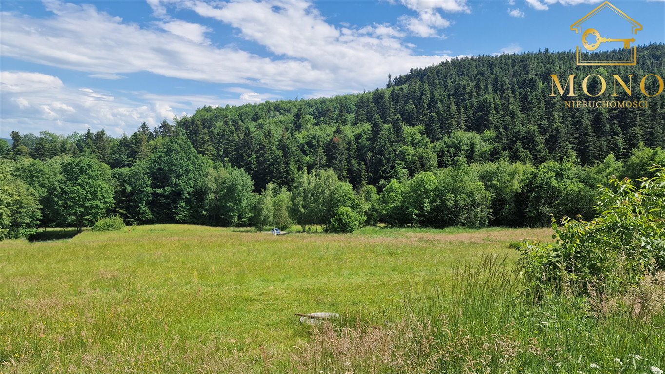 Działka budowlana na sprzedaż Wojakowa  2 000m2 Foto 6