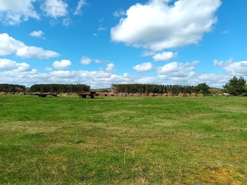 Działka siedliskowa na sprzedaż Człuchy  3 003m2 Foto 5