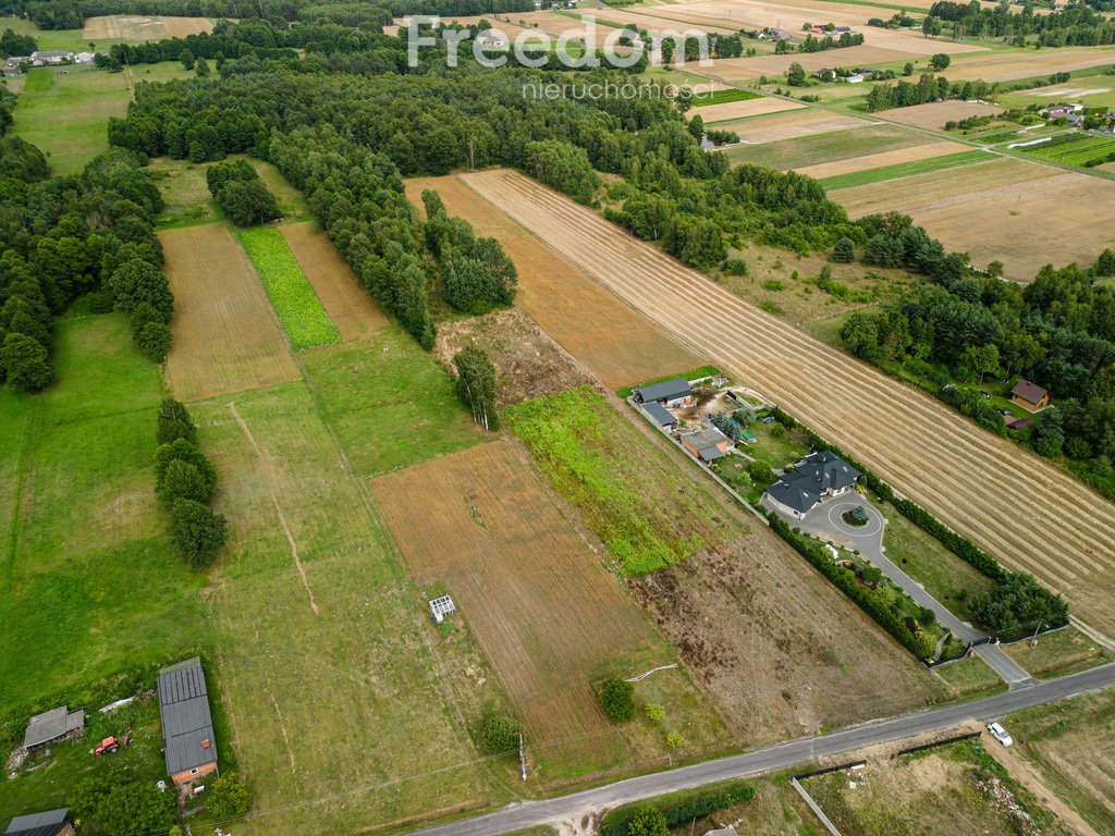 Działka budowlana na sprzedaż Drużbice  1 264m2 Foto 5