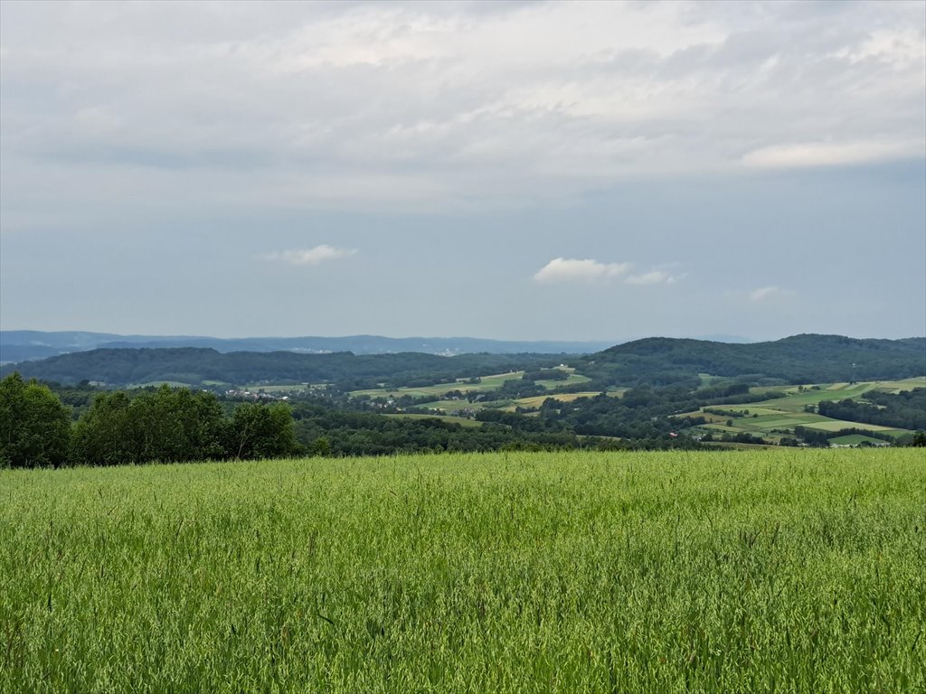 Działka rolna na sprzedaż Niebocko  2 860m2 Foto 12