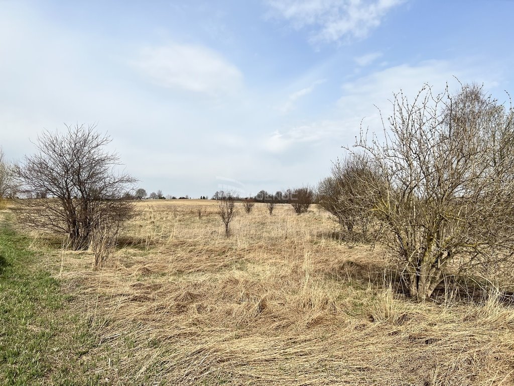 Działka inna na sprzedaż Tuławki  3 100m2 Foto 2