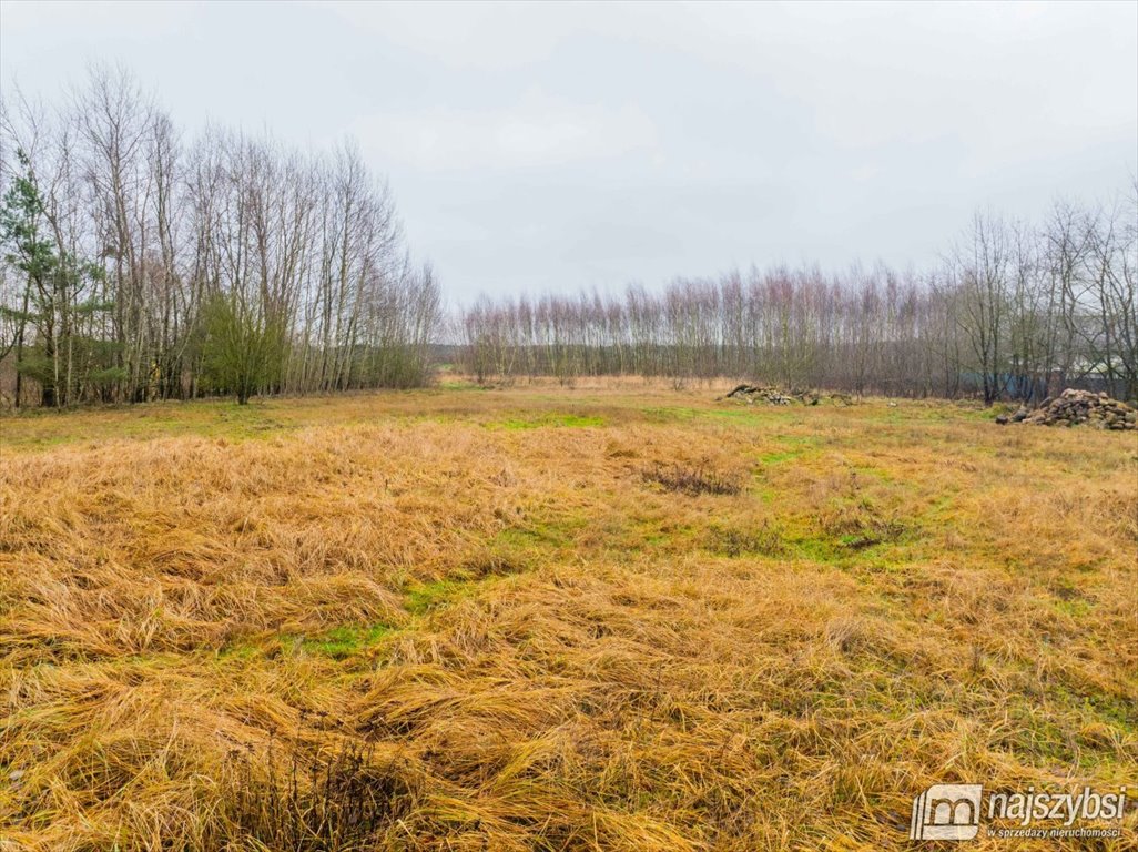 Działka rolna na sprzedaż Żółwia Błoć, Wieś  23 800m2 Foto 9