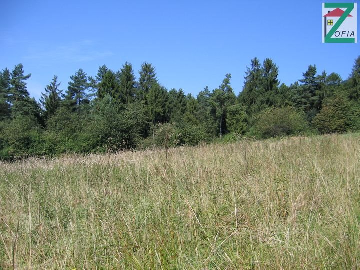 Działka rolna na sprzedaż RABKA-ZDRÓJ 4 159m2 Foto 1 Działka rolna na sprzedaż RABKA-ZDRÓJ 4 159m2 Foto 1