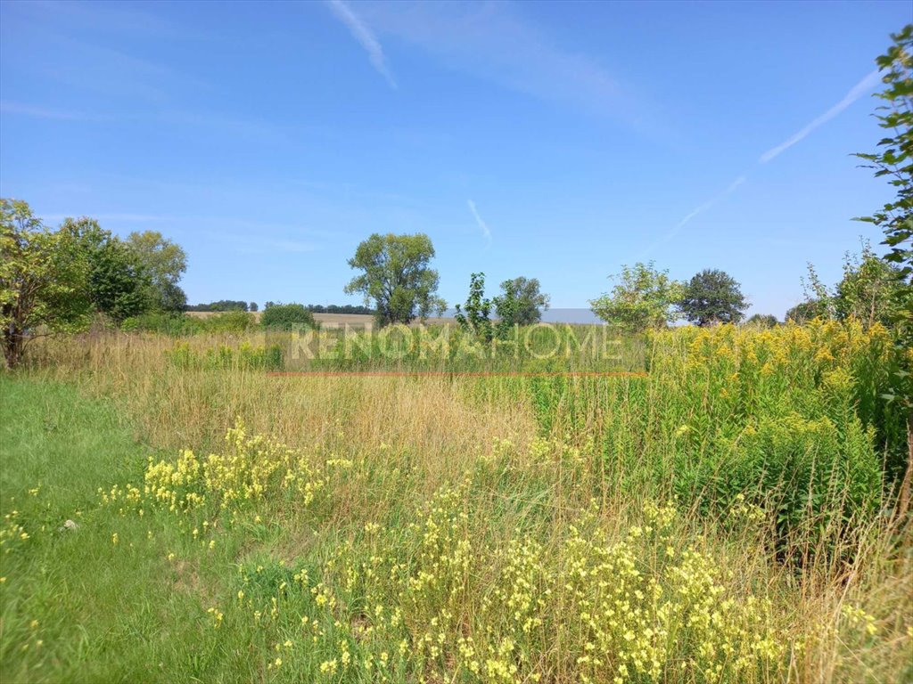 Działka budowlana na sprzedaż Wieruszów  2 100m2 Foto 4