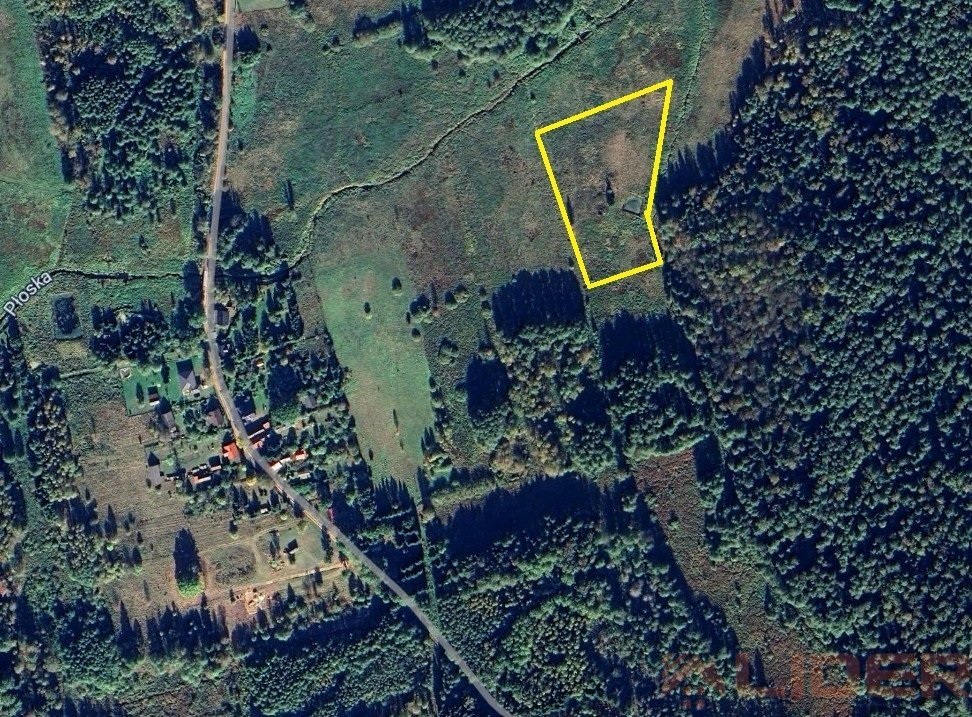 Działka rolna 1,09 ha w Puszczy Knyszyńskiej - Natura 2000 Zajma  10 900m2 Foto 1