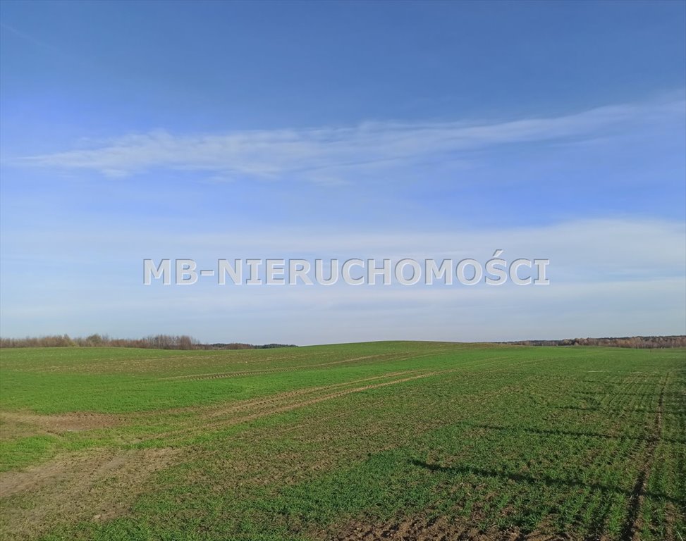 Działka rolna na sprzedaż Jurgi  2 600 000m2 Foto 1