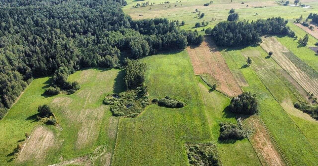 Działka rolna na sprzedaż Przerośl  37 400m2 Foto 6