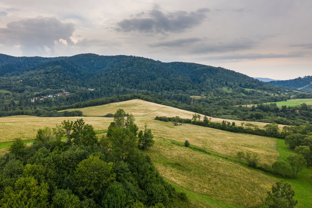 Działka inna na sprzedaż Smolnik  843 600m2 Foto 5