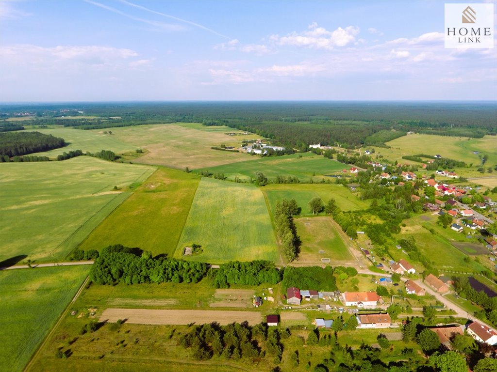 Działka budowlana na sprzedaż Liwa, Zielona  5 000m2 Foto 7