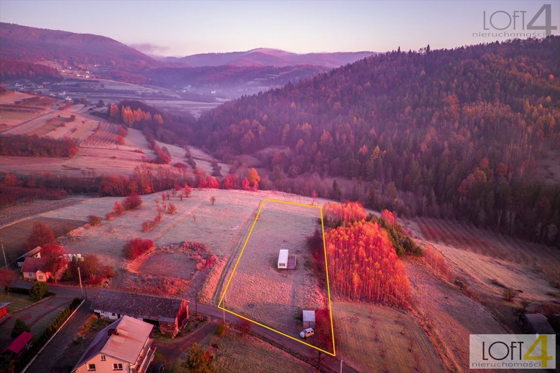 Działka budowlana na sprzedaż Zagorzyn  2 600m2 Foto 7