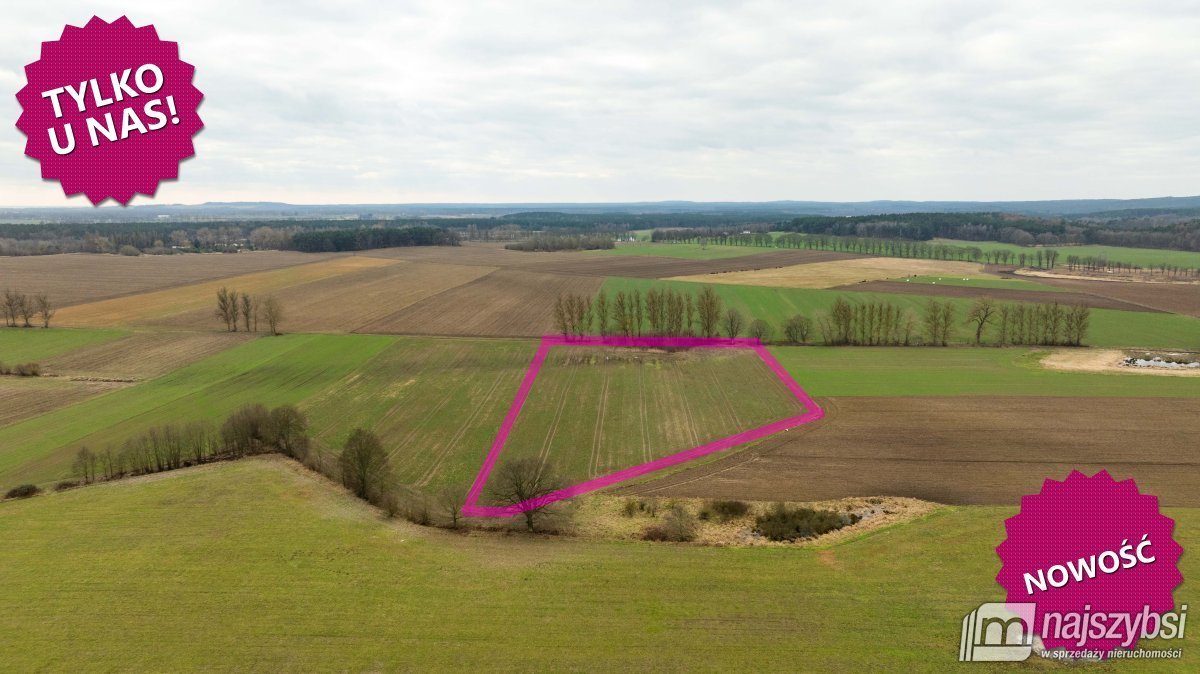 Działka rolna na sprzedaż Kołczewo 1  20 845m2 Foto 1