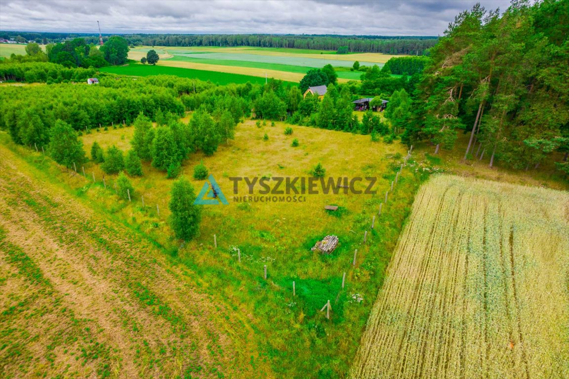 Działka rolna na sprzedaż Stary Barkoczyn  3 013m2 Foto 3