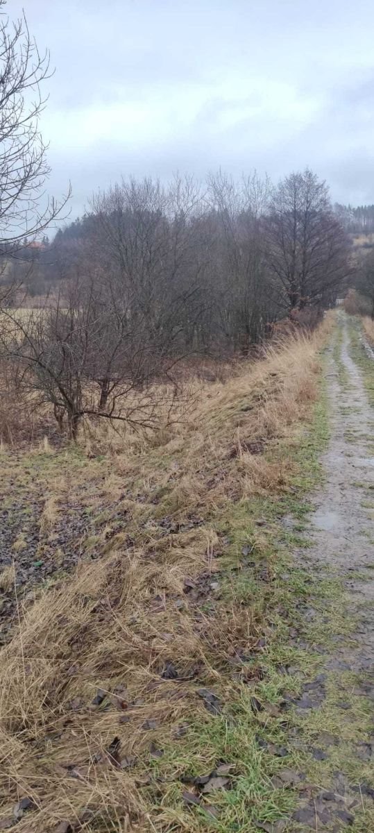 Działka budowlana na sprzedaż Kudowa-Zdrój, Zakrze  3 084m2 Foto 2