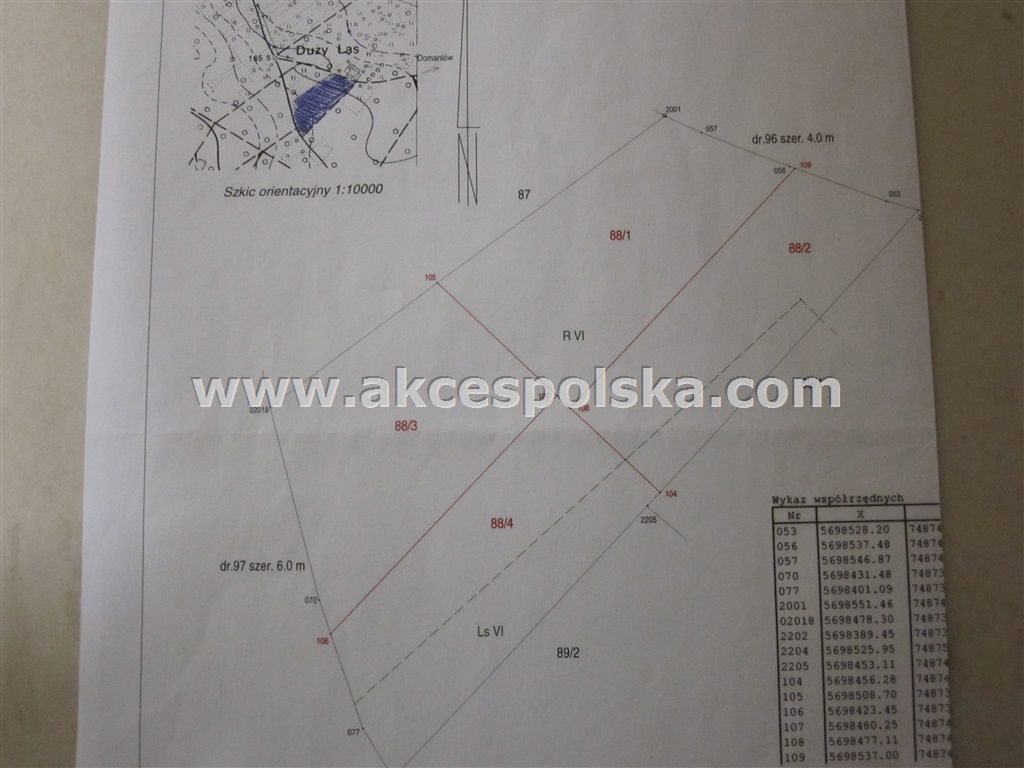 Działka budowlana na sprzedaż Domaniów, Leśna  3 000m2 Foto 8