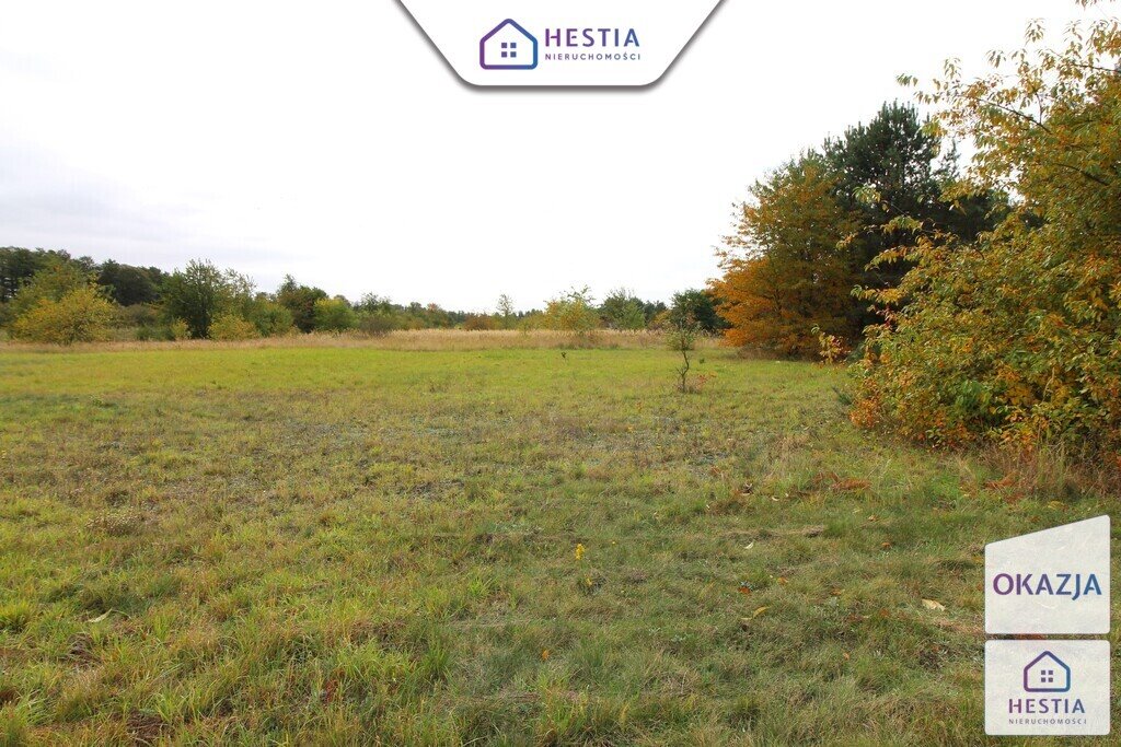 Sprzedam działkę 9728 m² z linią brzegową jeziora Miedwie Jęczydół  9 728m2 Foto 1