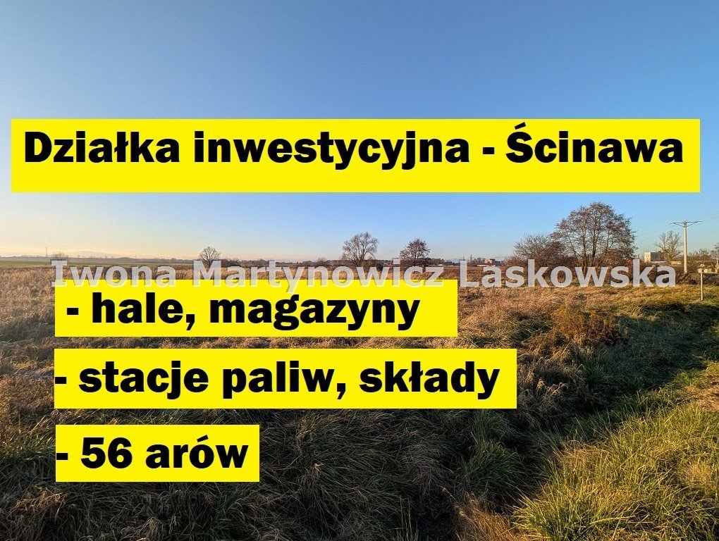 Działka inna na sprzedaż Ścinawa  5 600m2 Foto 1