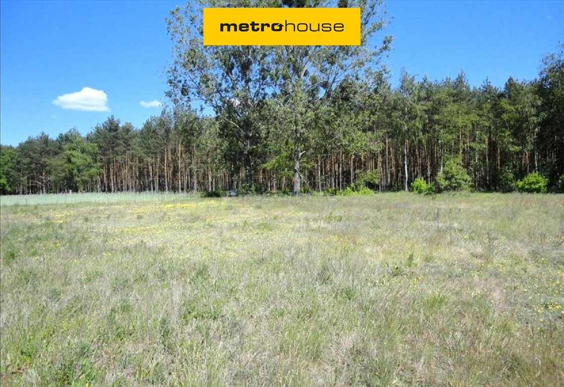 Działka rolna na sprzedaż Dopiewo  28 276m2 Foto 1