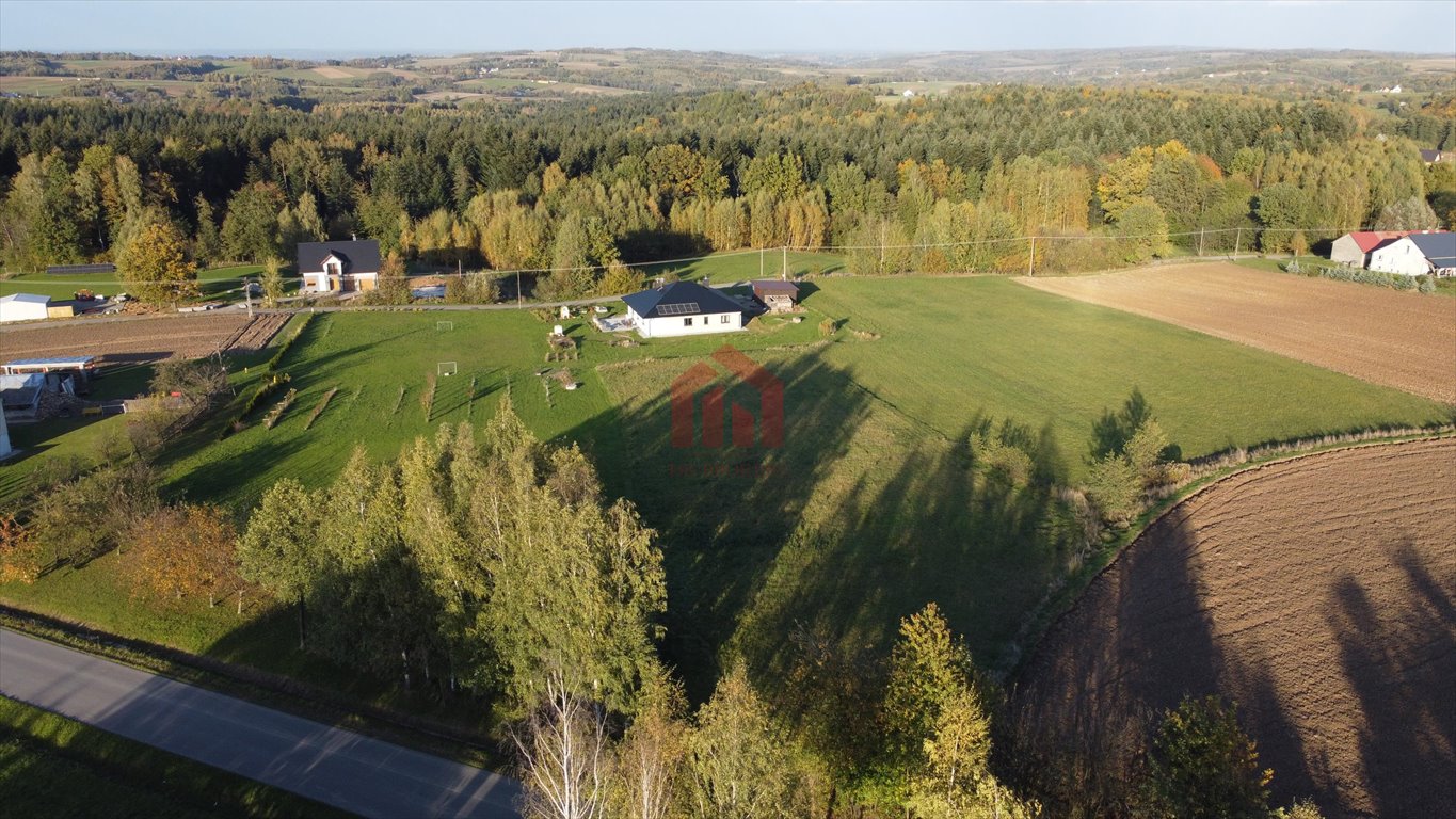 Działka budowlana na sprzedaż Broniszów  2 769m2 Foto 5