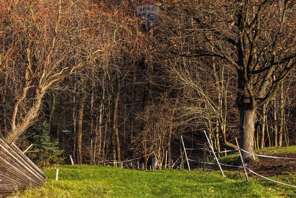 Działka budowlana na sprzedaż Czaniec  2 068m2 Foto 7