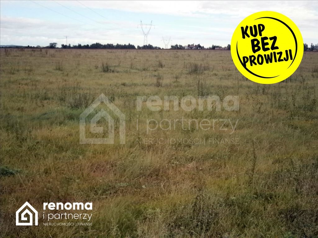 Działka gospodarstwo rolne na sprzedaż Chwarstno  259 000m2 Foto 5