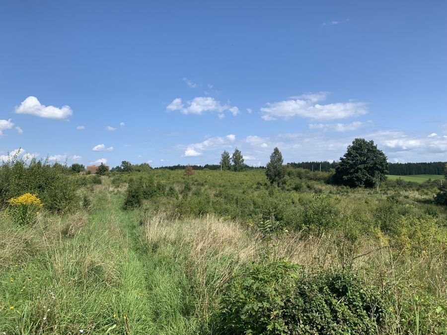 Działka 3244 m² w Gromie - blisko jezior i lasów Grom  3 035m2 Foto 1