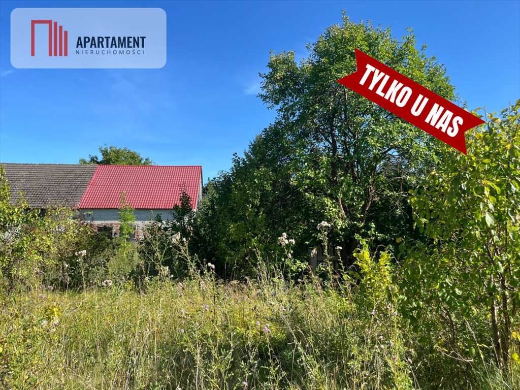 Działka 4460 m² z murowaną stodołą i dużym potencjałem Pniewo  4 460m2 Foto 1