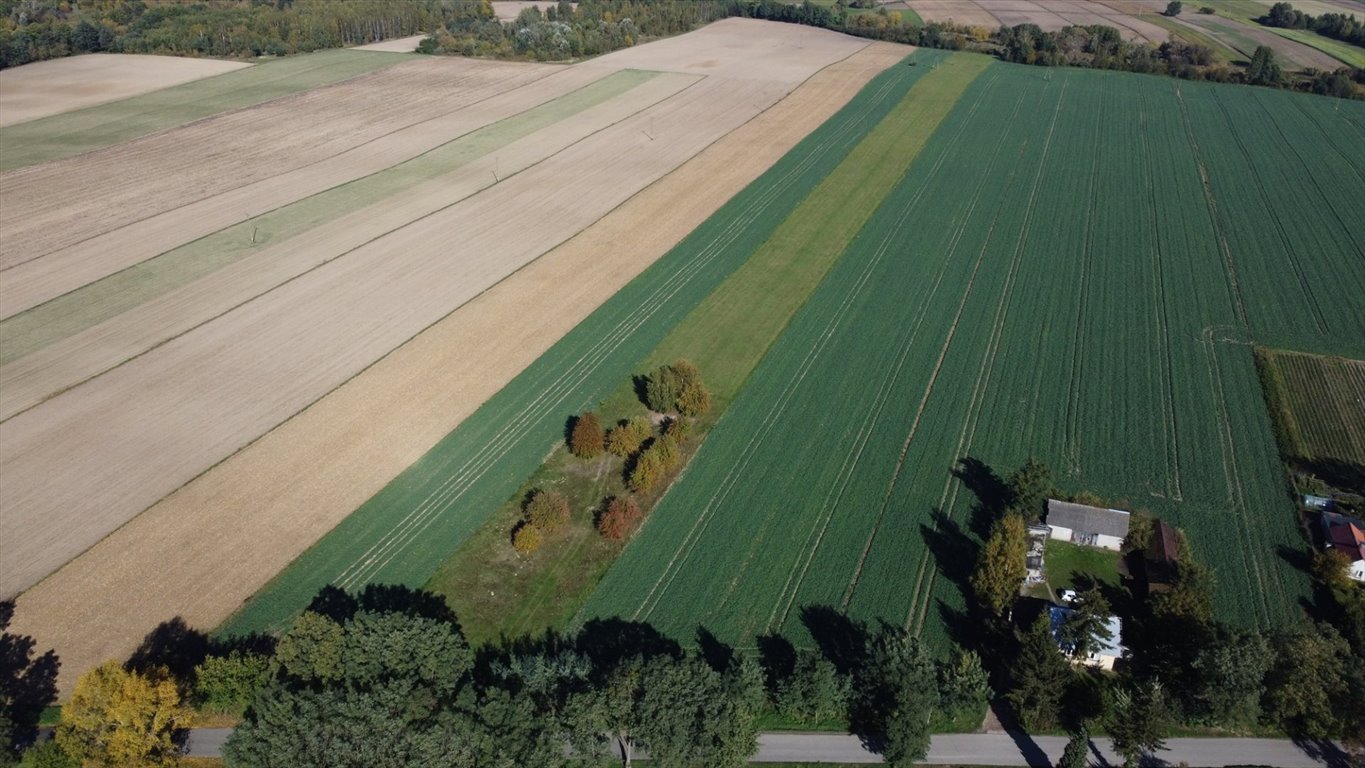 Działka rolna na sprzedaż Szczytno  20 000m2 Foto 8