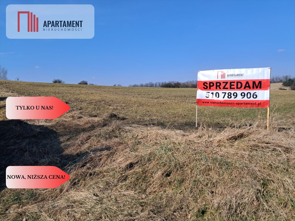 Działka budowlana 1105 m² z warunkami zabudowy, las i dojazd Zielonczyn  1 104m2 Foto 1