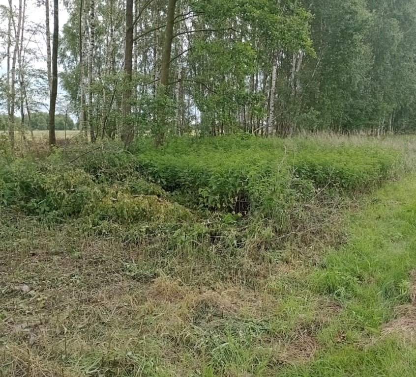 Działka budowlana 10 ar z mediami i dostępem do asfaltu Sokołów Małopolski, Górna  1 000m2 Foto 1