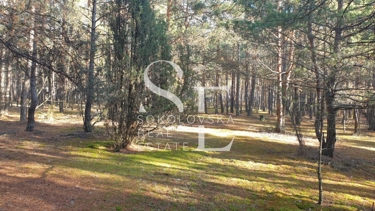 Działka rekreacyjna w lesie, pod zabudowę, 3364 m² Popowo-Letnisko  3 364m2 Foto 1