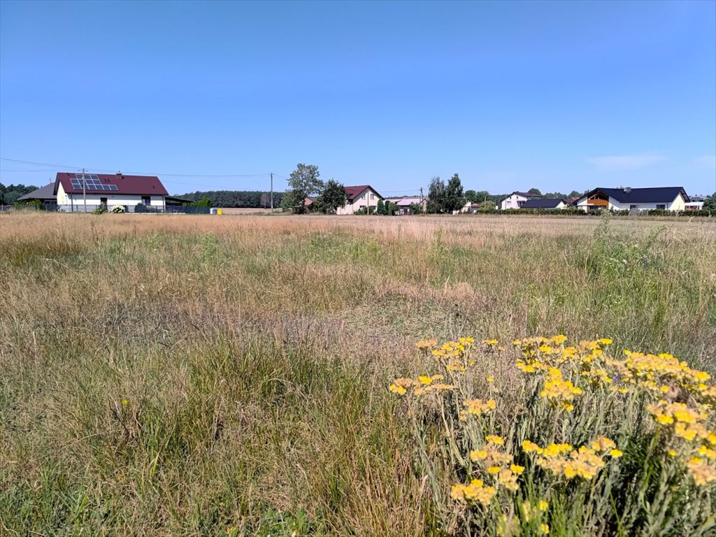 Działka budowlana na sprzedaż Żytowice  5 823m2 Foto 1