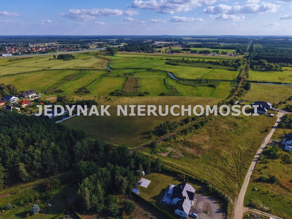 Zdjęcie 4