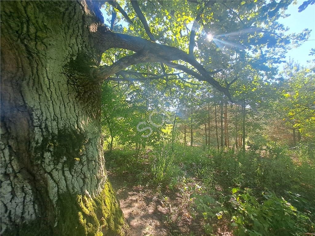 Działka rolna na sprzedaż Józefów  1 300m2 Foto 5