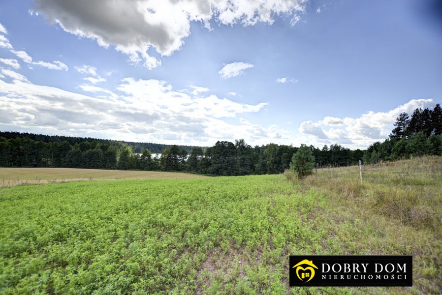 Działka rolna na sprzedaż Stara Kamionka  3 000m2 Foto 9