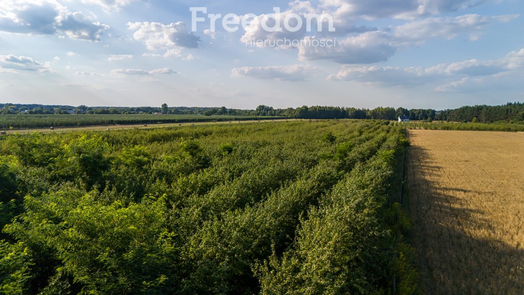 Działka rolna na sprzedaż Mirowice, Sosnowa  27 089m2 Foto 4