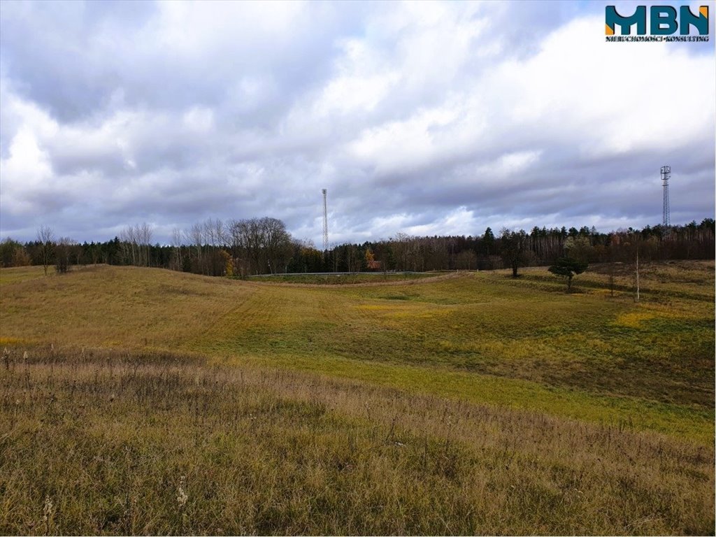 Działka rolna na sprzedaż Tuchlin, Tuchlin  65 579m2 Foto 3