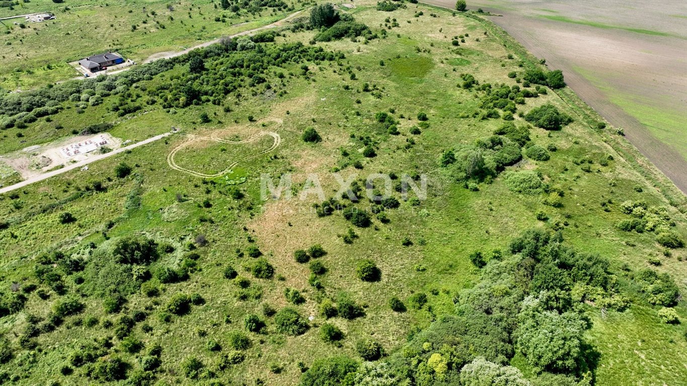 Działka budowlana na sprzedaż Brwinów  6 009m2 Foto 7