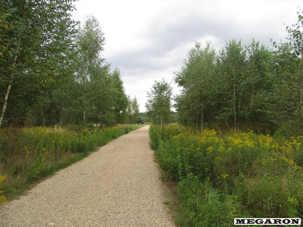 Na sprzedaż działka 3070 m² z mediami i lasem w Woli Mokrzesce Wola Mokrzeska  3 070m2 Foto 1