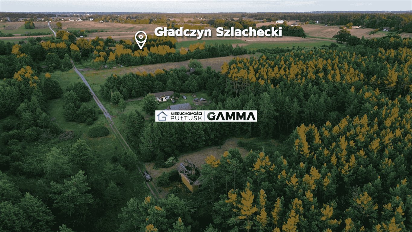 Zdjęcie 3