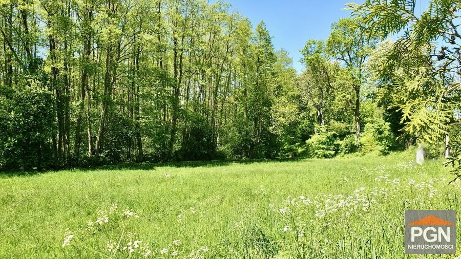 Działka 1294 m² z warunkami zabudowy, las i morze - polecam! GRYFICE OKOLICA  1 294m2 Foto 1