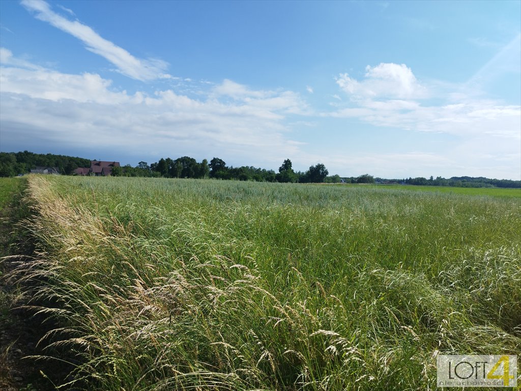 Działka inna na sprzedaż Dąbrowa Tarnowska, Żabieńska, Bagienica  1 850m2 Foto 3