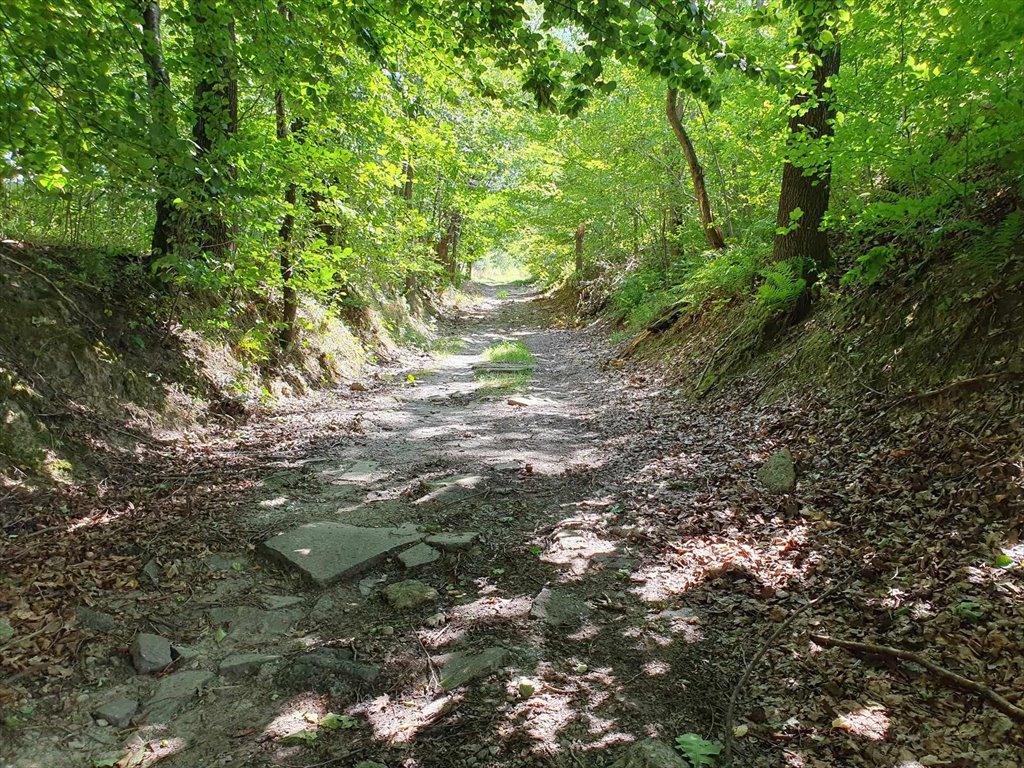 Działka budowlana na sprzedaż Tyczyn, Zagrody  1 825m2 Foto 9