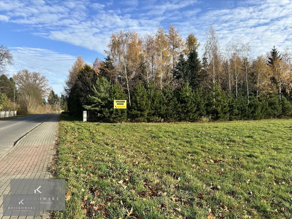 Działka inna na sprzedaż Wilków, Pągów, Pągów  2 176m2 Foto 1