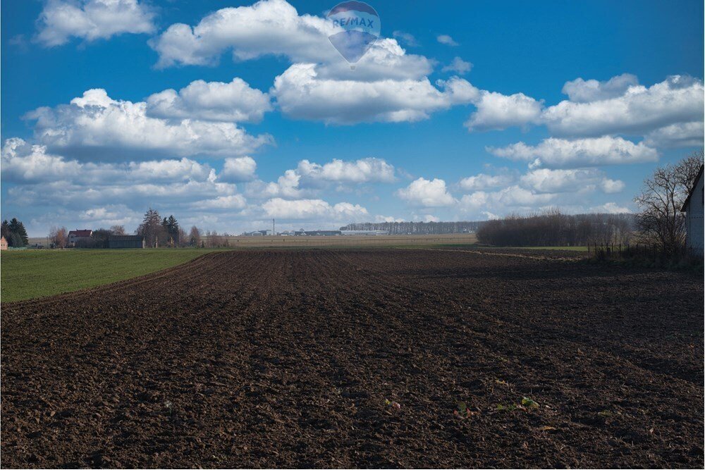 Działka przemysłowo-handlowa na sprzedaż Świdnik Duży, Świdnik Duży Drugi  7 100m2 Foto 9