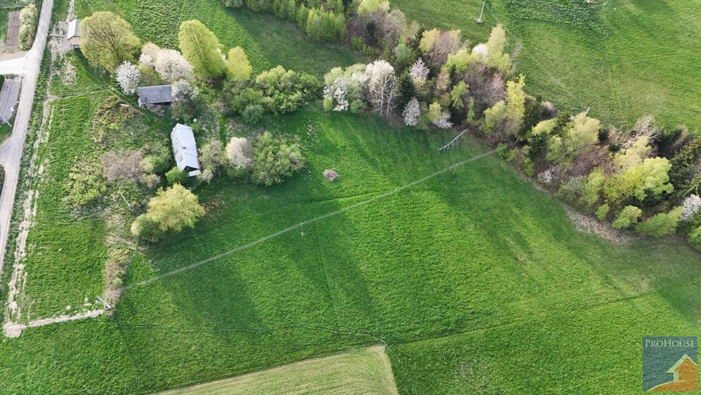 Działka inna na sprzedaż Stara Wieś  14 000m2 Foto 5